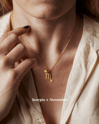 Zodiac & Birthstone Necklace